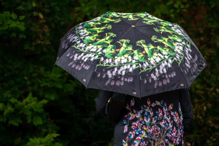 Первые дни июля в Иркутской области будут дождливыми