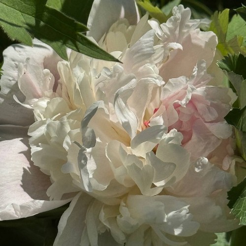 "По весточке": в море позитива