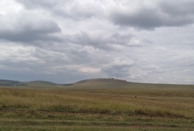 Ухудшение погоды и высокая пожароопасность ожидаются в Иркутской области