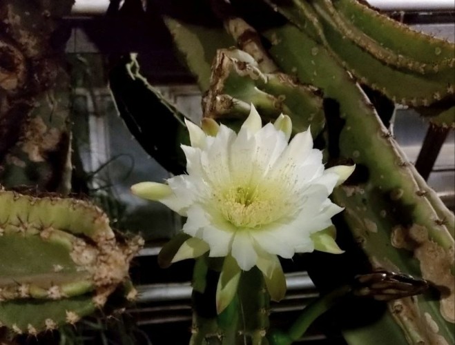 "По весточке": чудеса рядом