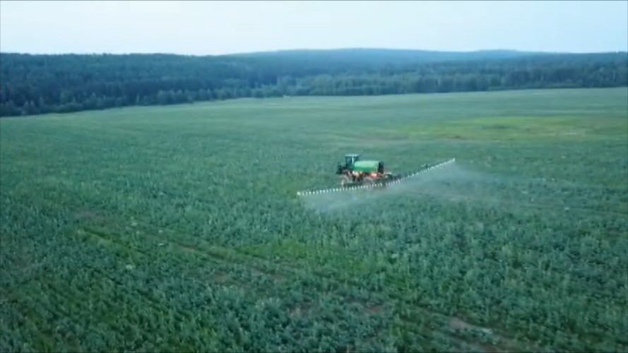 Борьбу с саранчой ведут в Иркутской области