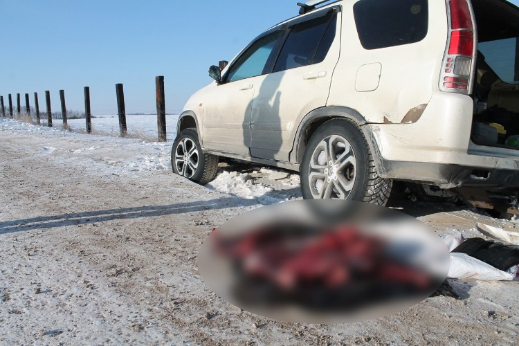 Условный срок дали эхирит-булагатским браконьерам, убившим косулю