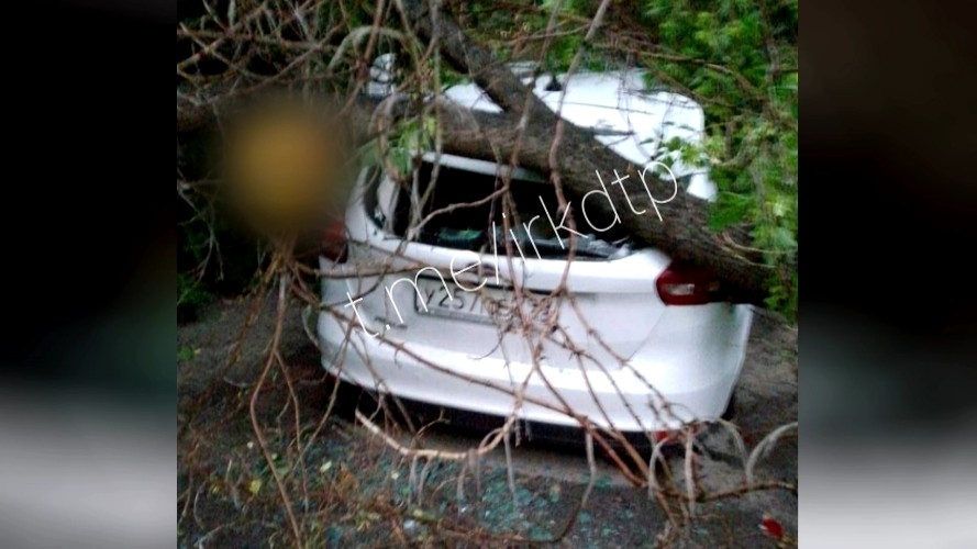 Рухнувшее во время непогоды дерево повредило сразу два автомобиля в Иркутске