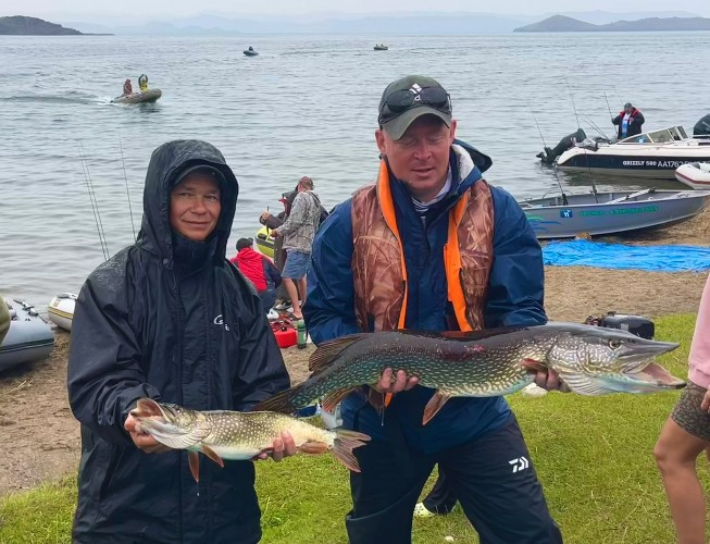 "По весточке": удивлению нет предела