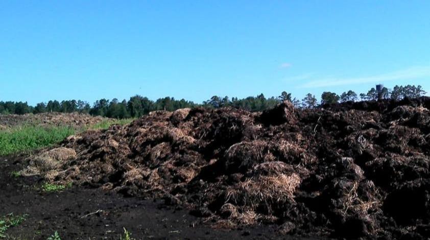 В 221 млн рублей оценили ущерб от загрязнения почвы в Усольском районе