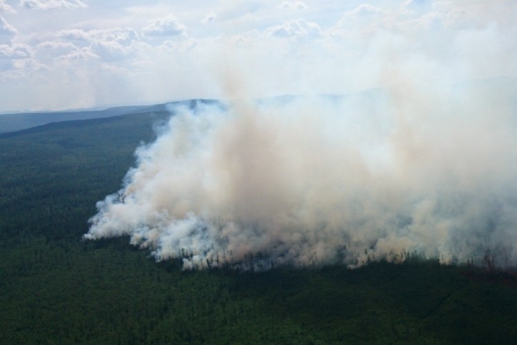 Тысяча гектаров леса горит в Иркутской области