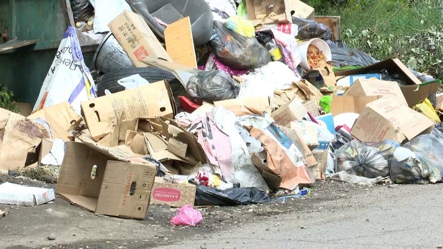 Коробками и шинами завалили берег Ушаковки в Иркутске