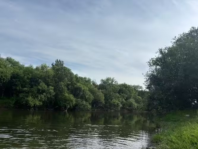Опасные бактерии обнаружены в десяти водоёмах Иркутской области