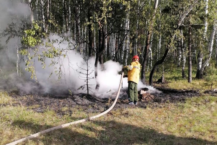 Более 50 га леса горят в Иркутской области 29 июля