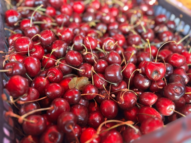 "По весточке": повышаем настроение