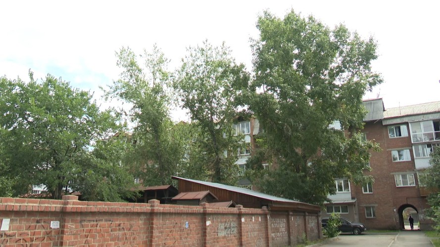 Тополя угрожают рухнуть на жилой дом в Иркутске