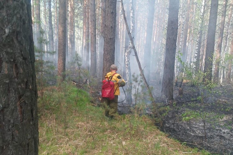 68,5 га леса горит в Иркутской области 1 августа