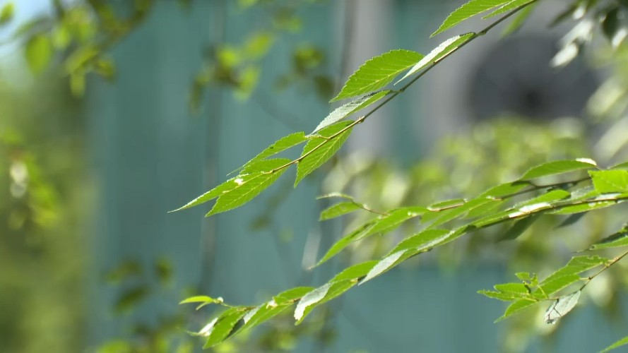 Погода в июле повлияла на уровень загрязнении воздуха в Иркутской области