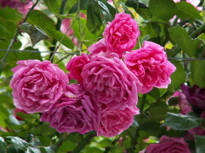 "По весточке": информационный океан