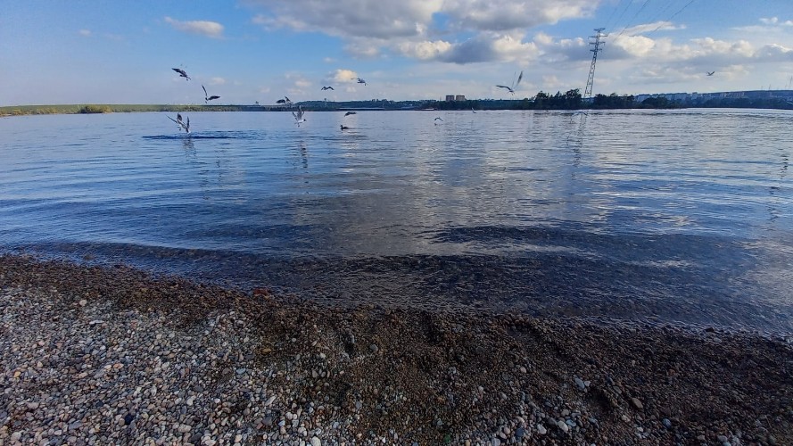 Поднять баржи со дна Братского водохранилища обязал суд профильную организацию