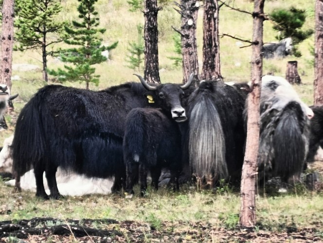 "По весточке": познаём мир