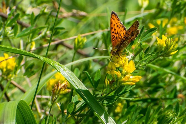 84 тысячи детей отдохнули в оздоровительных лагерях Приангарья с начала лета