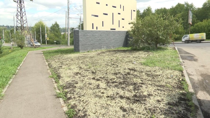 "Вы спросили - мы ответили": зачем покрасили газон в одном из районов Иркутска