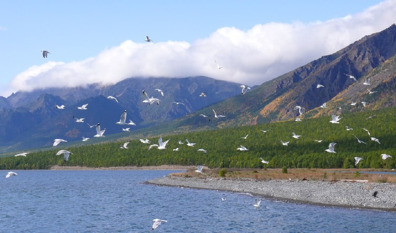 В Прибайкальском нацпарке открыли популярные туристические маршруты