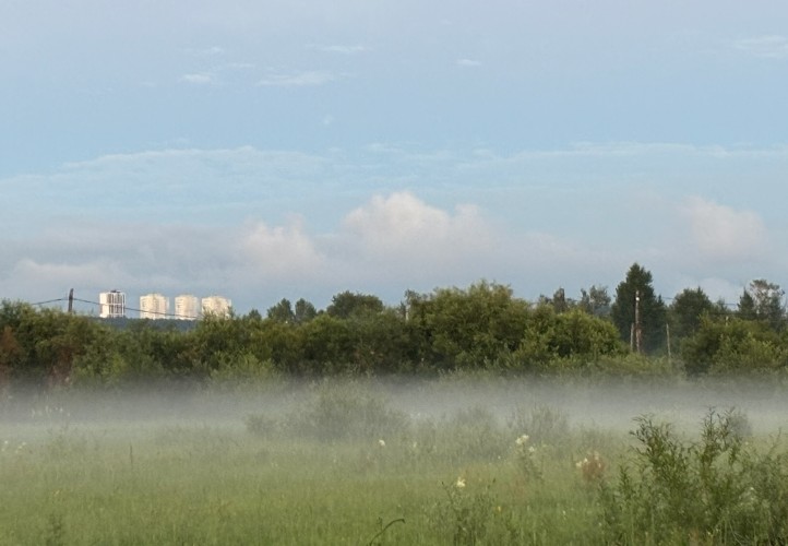 Погода в Иркутской области: 12 августа особых перемен не ожидается