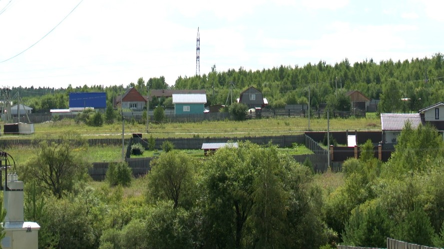 В Иркутском районе у собственника изъяли землю из-за выросших на участке деревьев