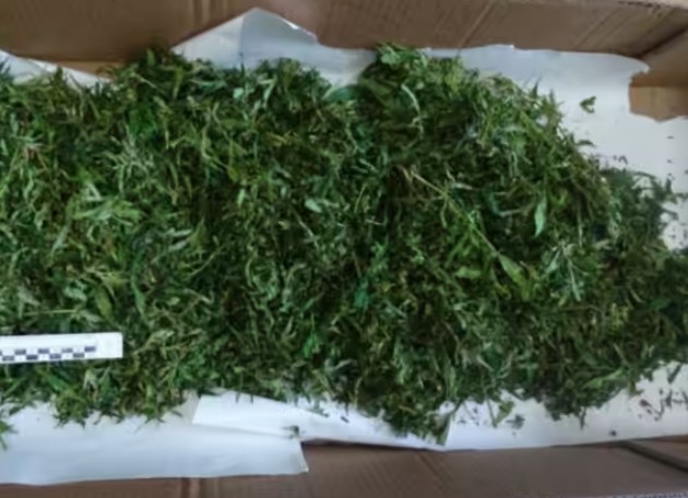 1,5 кг марихуаны хранил житель Тайшетского района