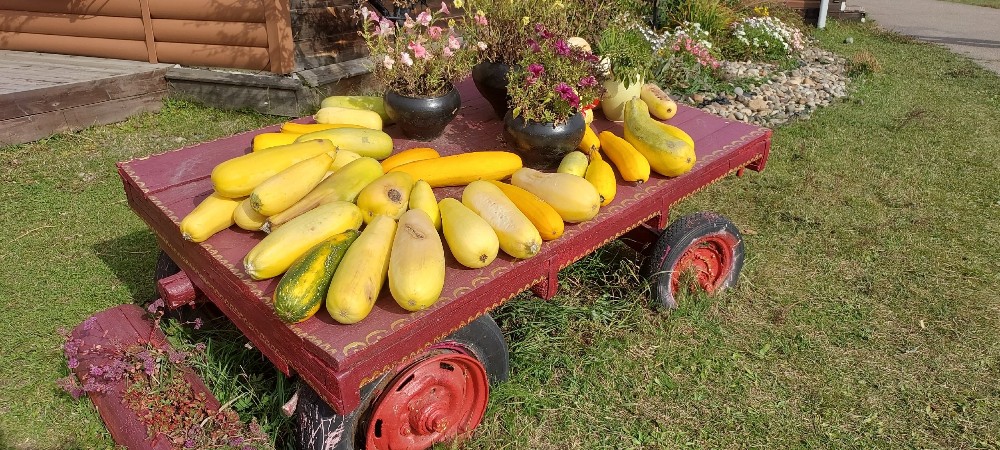 "По весточке": только вкусные новости!