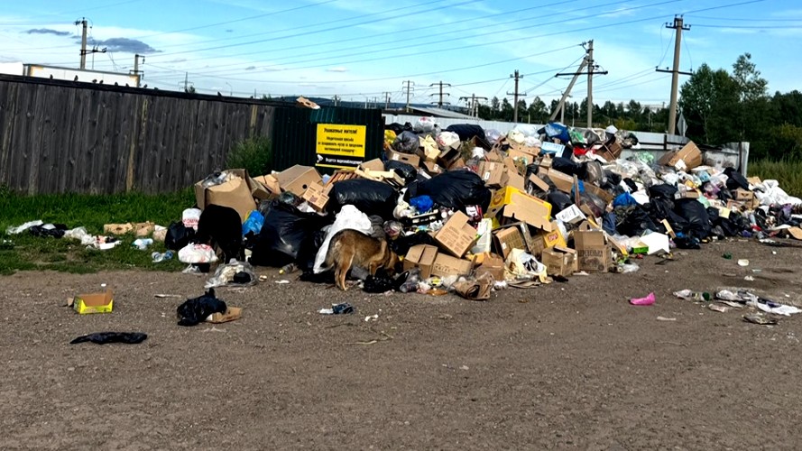 Жители Нижнеудинска жалуются на мусорный коллапс в городе