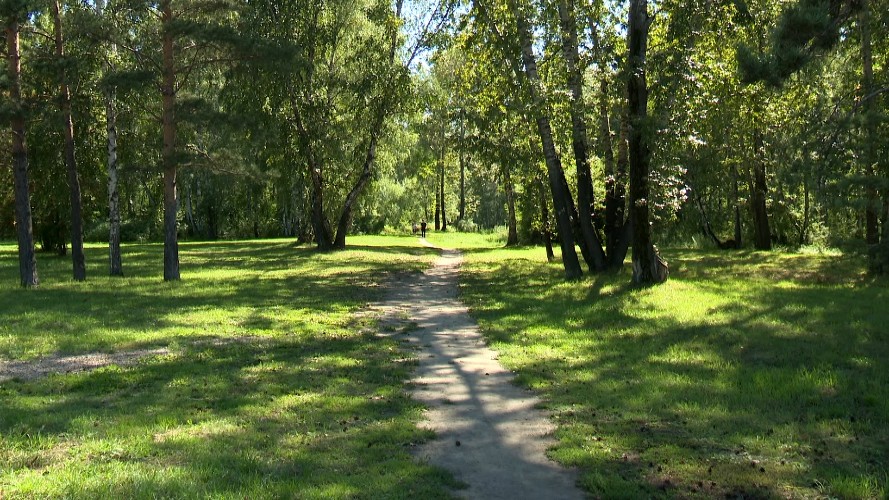 Прохождение холодных фронтов ожидается в конце лета в Иркутской области