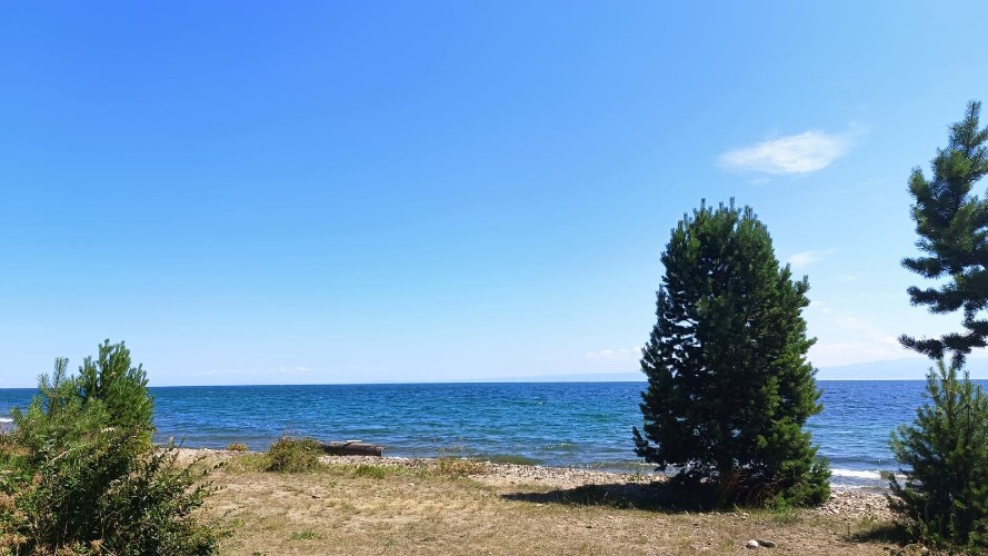 "По весточке": праздник новостей!