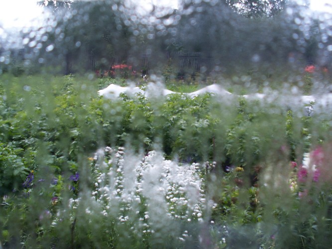 До 120% месячной нормы осадков выпало в нескольких районах Приангарья