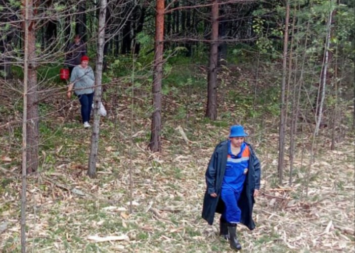 Две жительницы Тайшетского района заблудились во время сбора грибов
