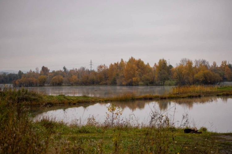 74-летний грибник заблудился в лесу и провёл ночь на станции под Иркутском