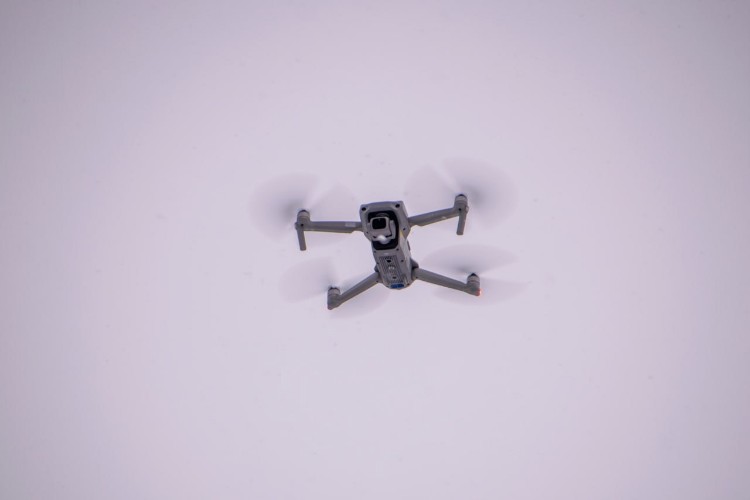 С 1 сентября ветеринарный надзор в Приангарье будут проводить с помощью дронов