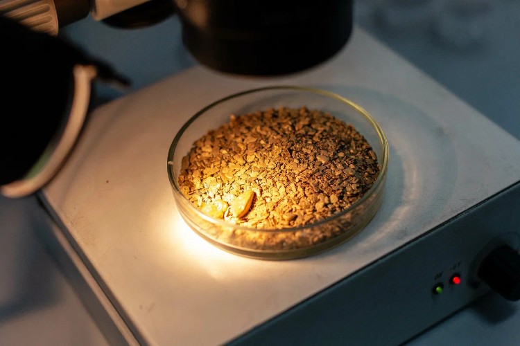 4 года условно получил фигурант дела о хищении самой крупной партии золота в Приангарье