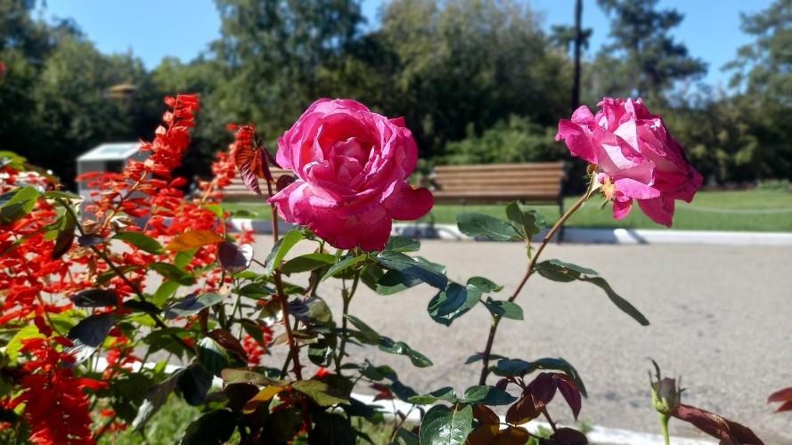 "По весточке": для бодрости духа