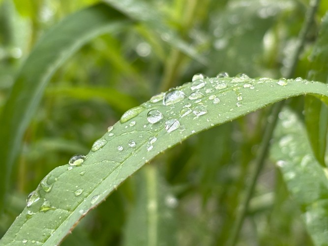 Понижение температуры воздуха ожидает Иркутскую область 4 сентября