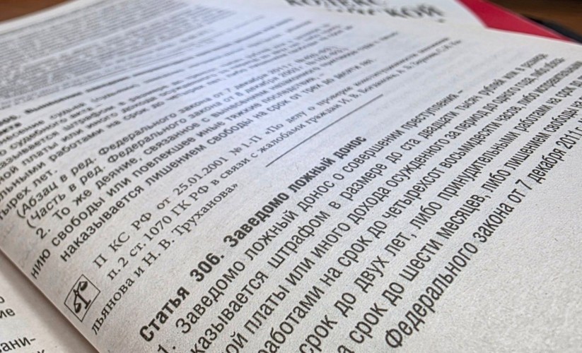 Жительницу Тайшета осудили за ложный донос на бывшего сожителя