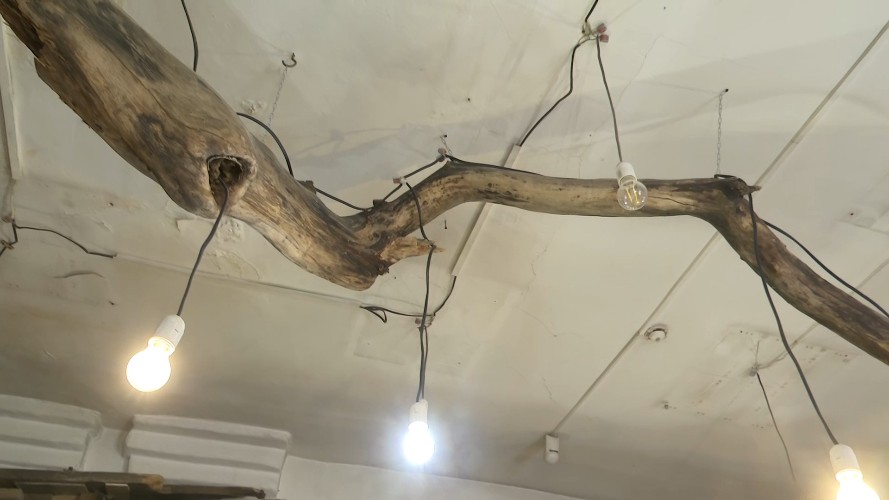 100-килограммовый арт-объект из природных материалов представят в Иркутске на Дне Байкала