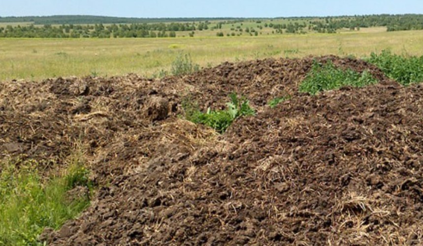Жителю Зиминского района придётся убрать свалку навоза, загрязнившую поле