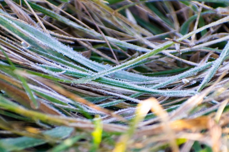 Заморозки и мокрый снег ожидаются в Иркутской области 15 сентября