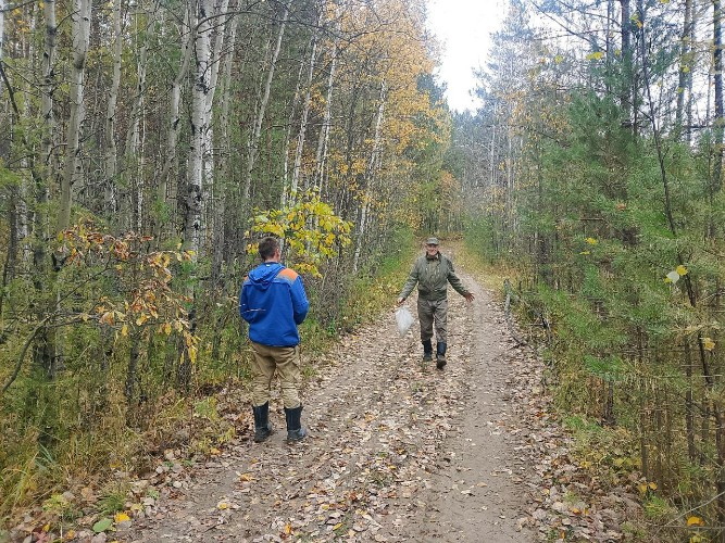 Выстрел из ракетницы помог найти заблудившегося грибника в Зиминском районе