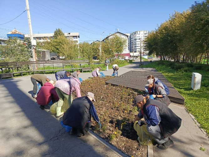 Цветы с городских клумб начали убирать в Иркутске