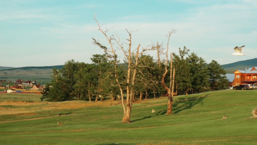 Ограничения для туристов ввели на Ольхоне из-за высокой пожарной опасности