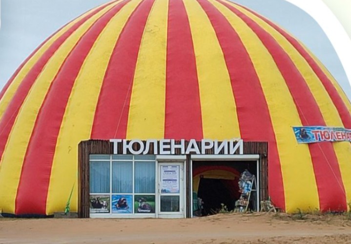 Россельхознадзор нашёл нарушения в тюленарии на Байкале