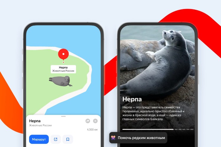 Байкальскую нерпу перевели в 3D-формат