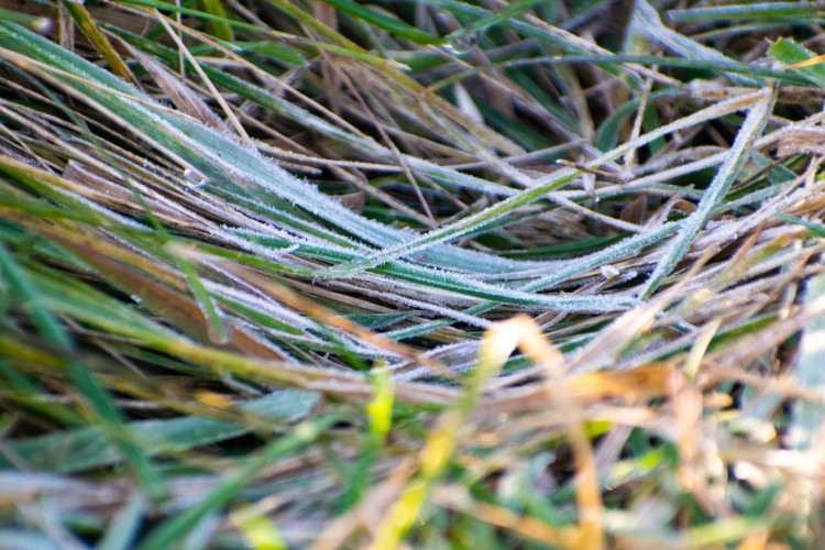 До -21°С ожидается в Иркутской области ночью 13 октября