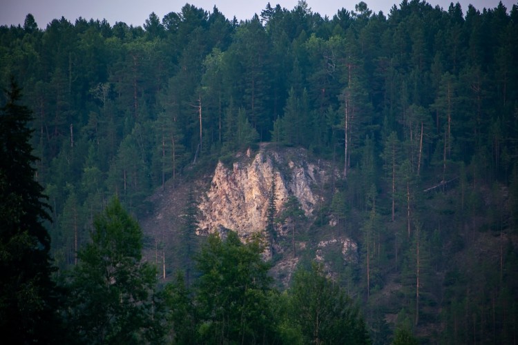 Маршрут КБЖД вновь открыли для туристов после ухода опасного медведя