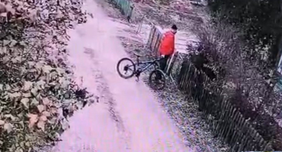 Велосипед выдал дачного вора в  Усольском районе