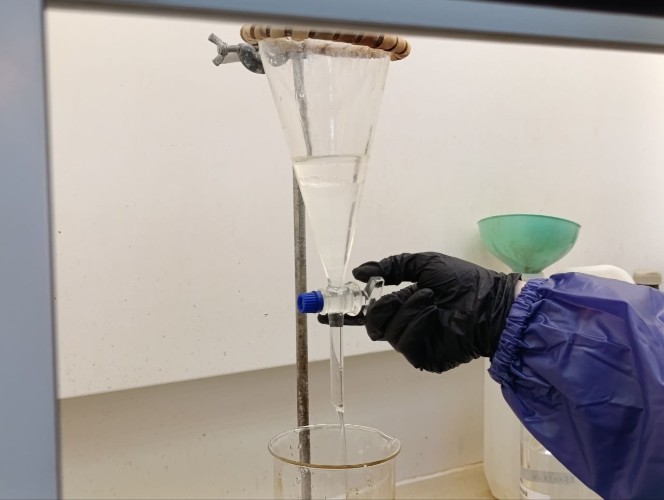 Красноярские учёные создали экологичный пластик из рыбных отходов